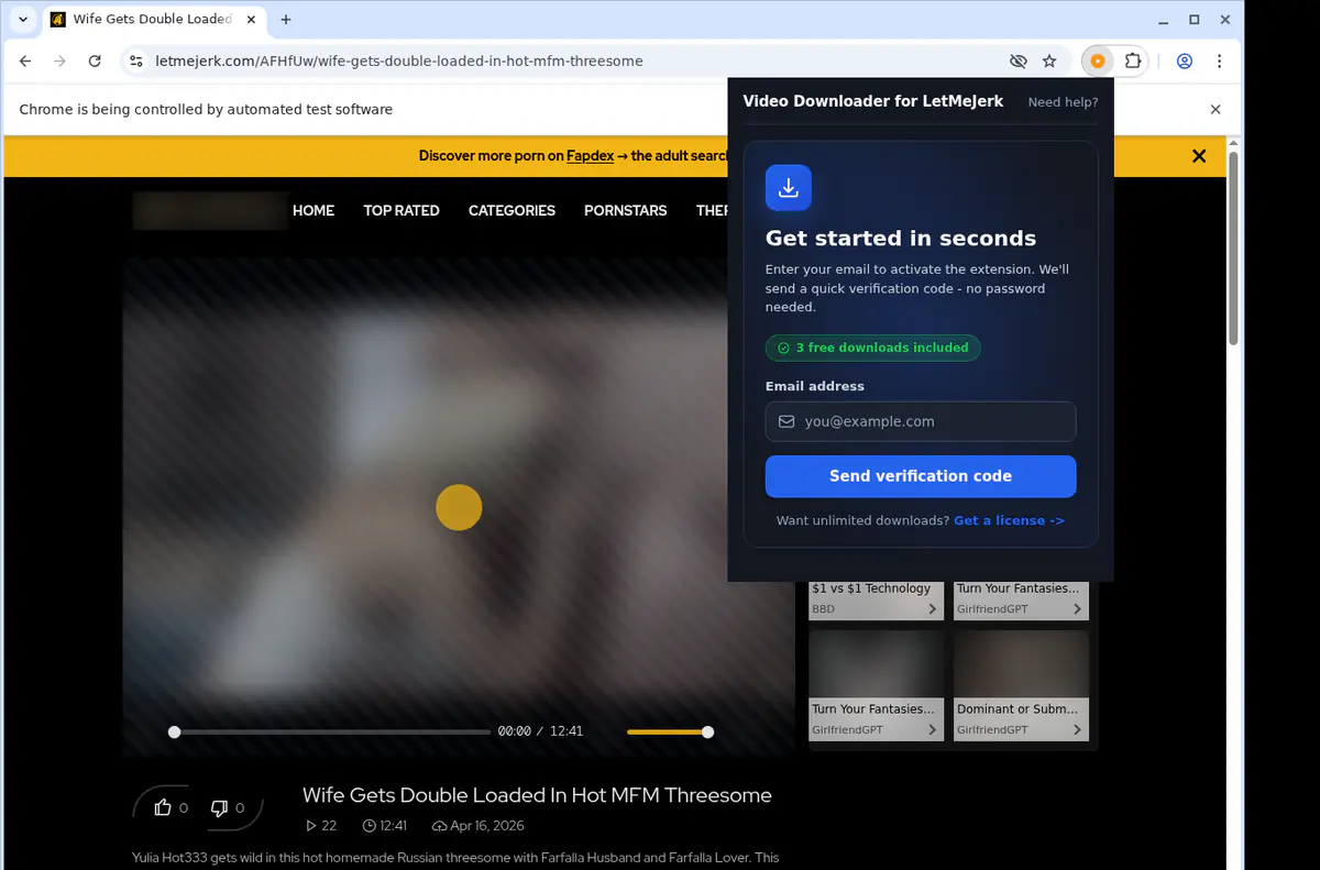 Letmejerk Video Downloader browser extension screenshot 5